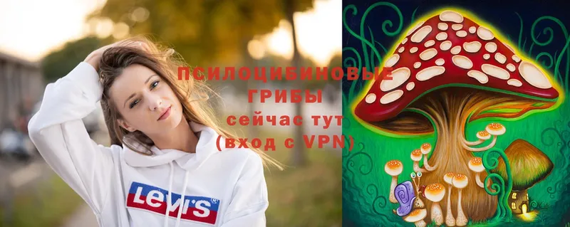 Галлюциногенные грибы MAGIC MUSHROOMS  ОМГ ОМГ ссылки  Барабинск  где продают наркотики 